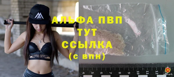 прущие грибы Михайлов