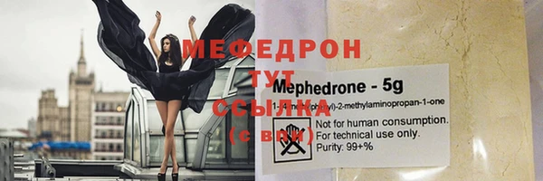 прущие грибы Михайлов