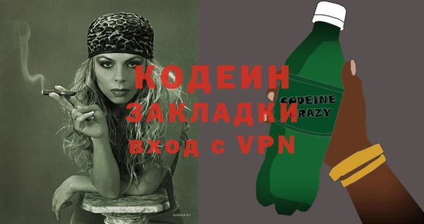 прущие грибы Михайлов