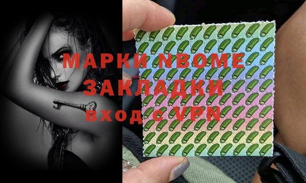 прущие грибы Михайлов