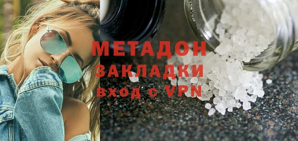 прущие грибы Михайлов