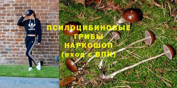 мдма Михайловск