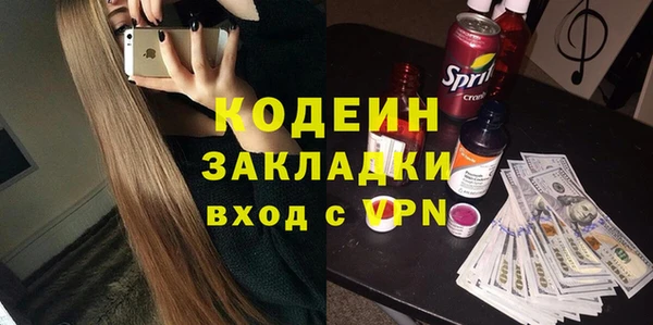 прущие грибы Михайлов