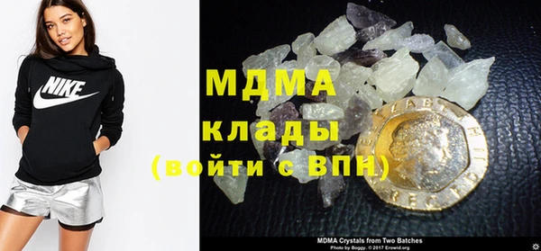 прущие грибы Михайлов