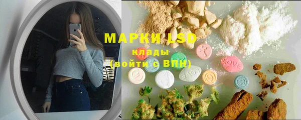 прущие грибы Михайлов