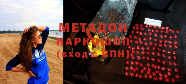 прущие грибы Михайлов