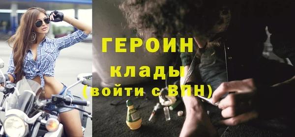 прущие грибы Михайлов