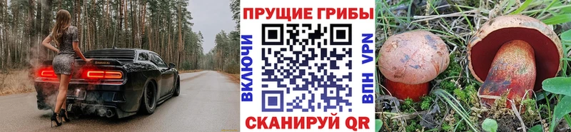 Псилоцибиновые грибы Psilocybe Купить Кириши